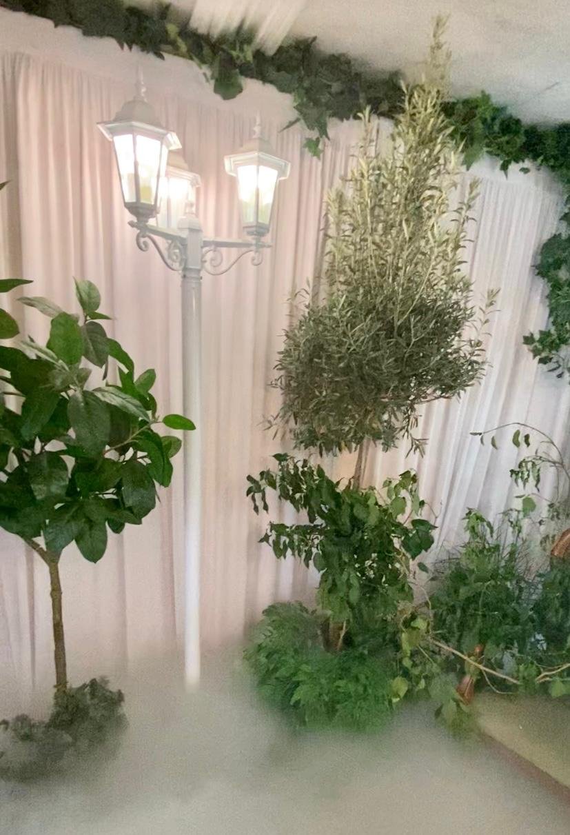 Espace Natural Dream – Image 12